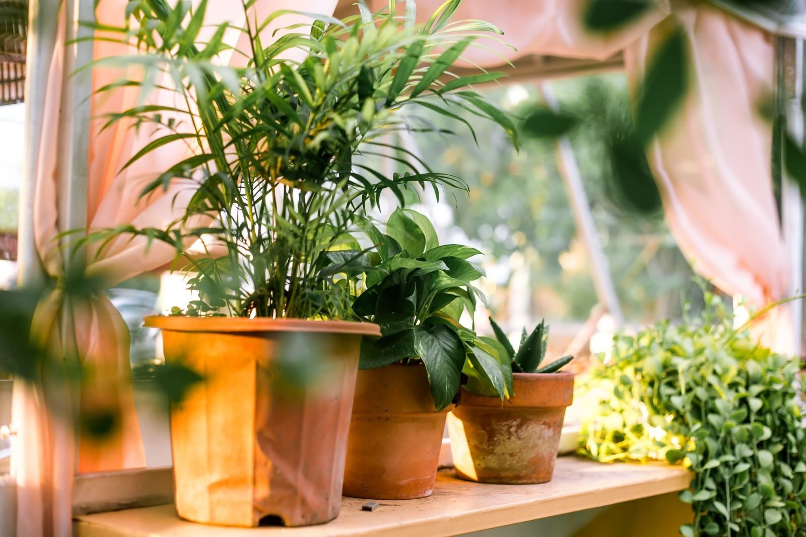 Design biofílico no litoral: como fazer a natureza entrar de vez na sua casa